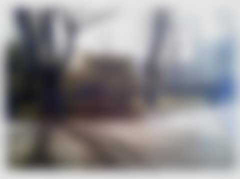 Shadows (preview)