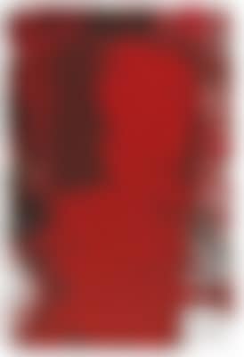Hermann Nitsch * (preview)