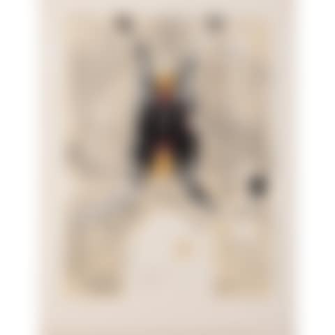 "Naissance"/"La femme" (preview)