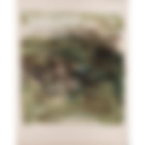 "L IX" (preview)