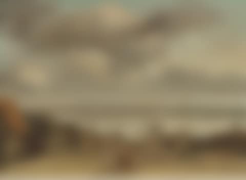 View from the Dunes out to Sea (preview)