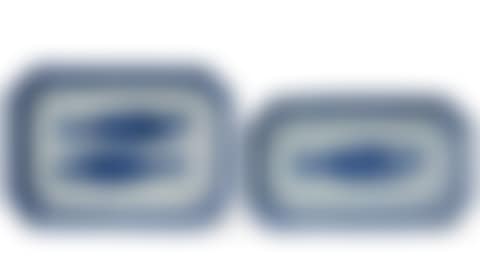 TWO CHINESE EXPORT PORCELAIN BLUE AND WHITE RECTANGULAR 'HERRING' DISHES (preview)