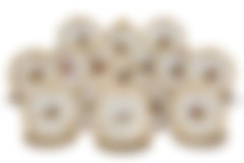 A WORCESTER (FLIGHT, BARR & BARR) PORCELAIN PART DESSERT SERVICE (preview)