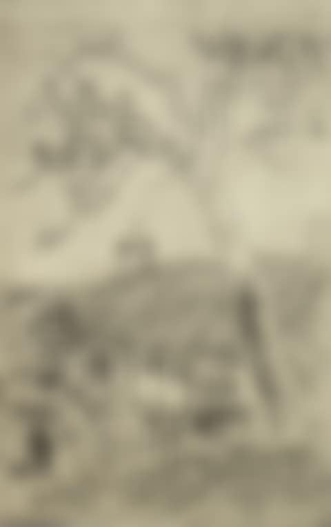 FIGURE IN A STRAW HAT OUTSIDE A FIFE COTTAGE (preview)