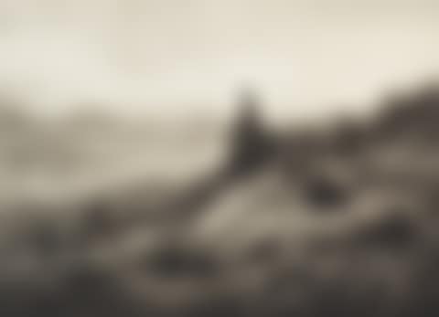 RED GROUSE AMONGST THE HEATHER (preview)