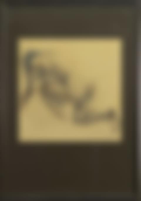 FEMALE NUDE STUDY (preview)