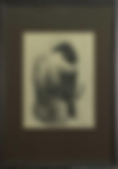 FEMALE NUDE STUDY (preview)
