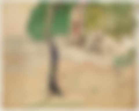 Cours d"eau sous les arbres, Martinique (preview)