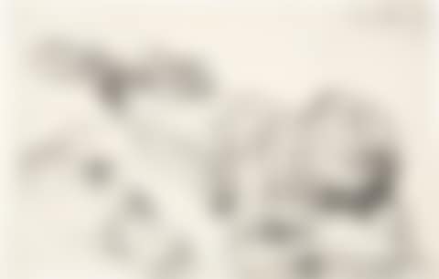 Liegender junger Bauer (mit Arm- und Handstudie) (preview)