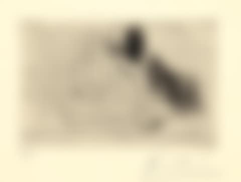 Couple au bord de l"eau (preview)