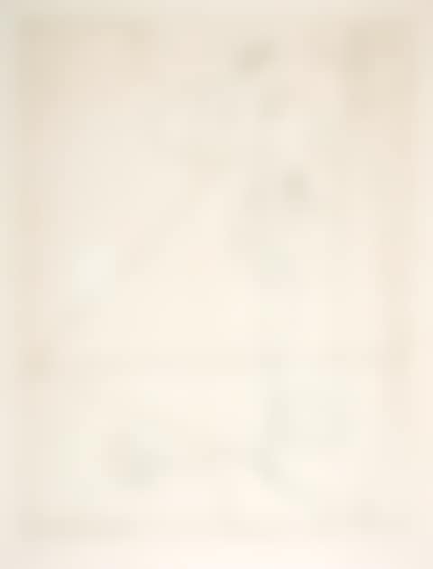 Taurus (preview)