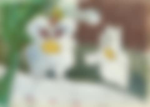 Orchids in the room (preview)