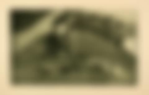 La Femme aux figures (preview)