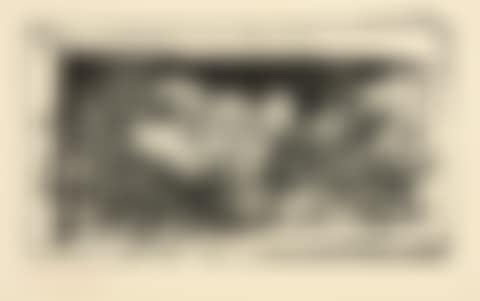 Pigeonneau in nothing (preview)