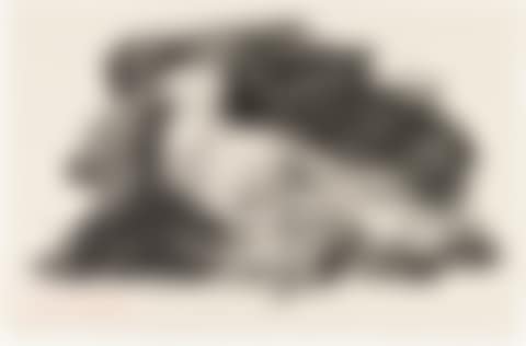 Le Pigeon Blanc (preview)