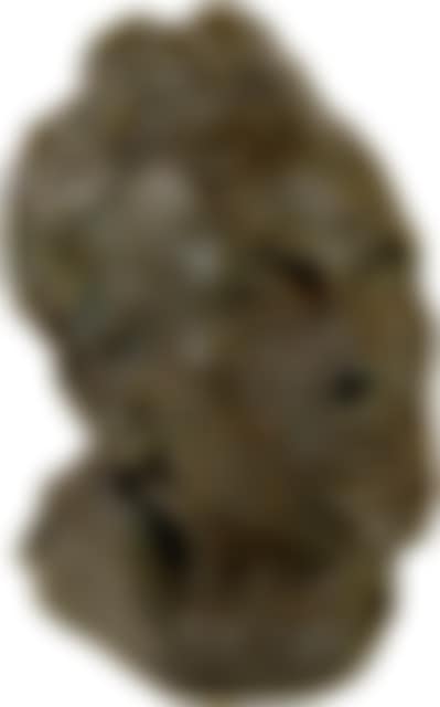 Self-portrait (preview)