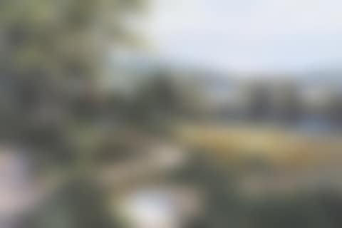 "OVERLOOKING STRANGFORD LOUGH" (preview)