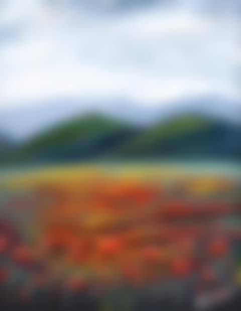 "WILD POPPY VIEW" (preview)