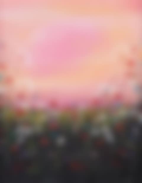 "WILDFLOWER VIEW" (preview)