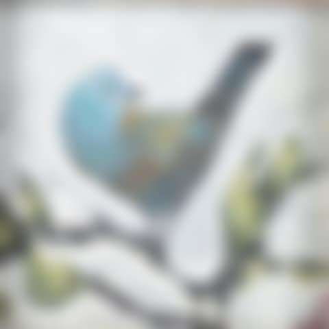 "LITTLE BLUE BIRD" (preview)