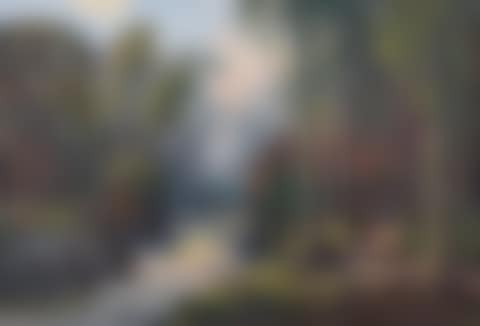 "STEPPING STONES, TOLLYMORE FOREST PARK" (preview)