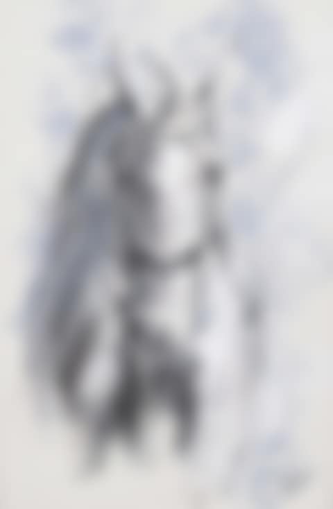 "SILVER HORSE" (preview)