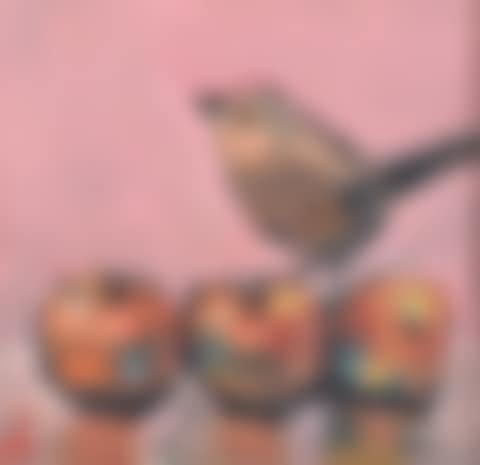 "LITTLE BROWN BIRD" (preview)