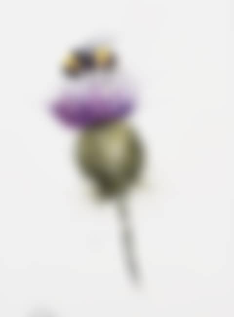 "BUMBLE BEE ON A THISTLE" (preview)