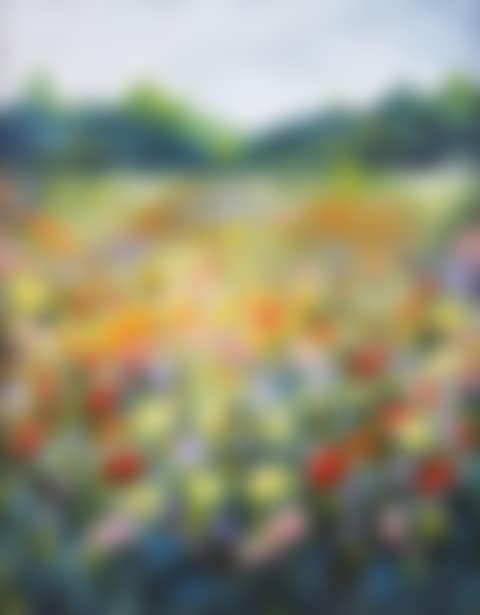 "SUMMER WILD FLOWERS" (preview)
