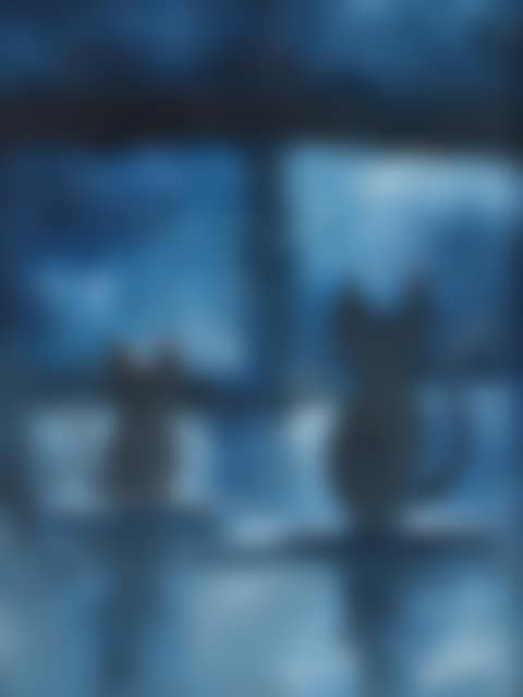 "WATCHING BY THE WINDOW" (preview)