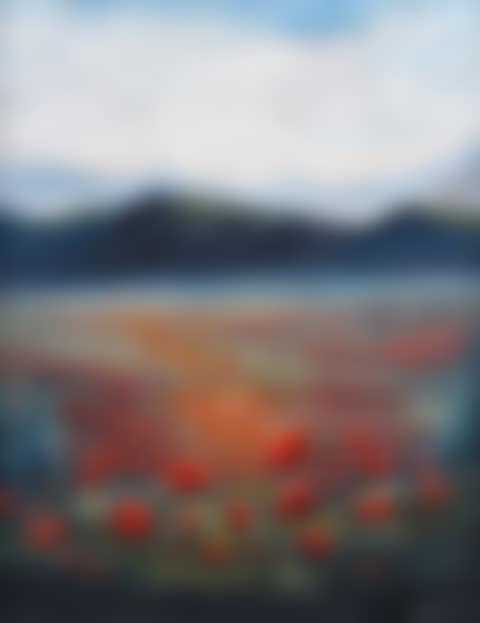 "POPPY FIELDS" (preview)