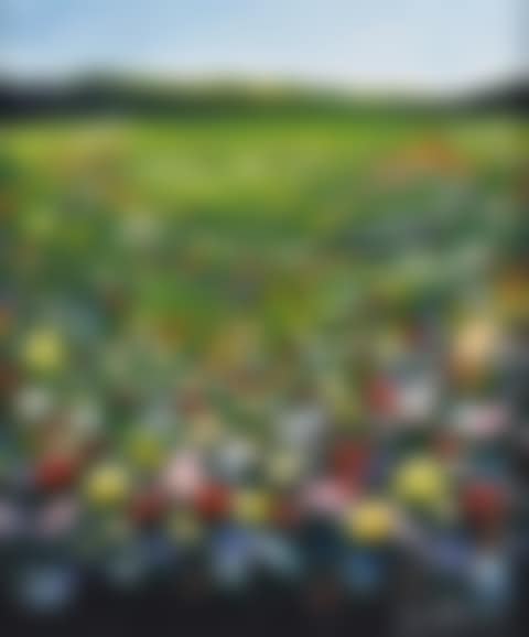 "FIELDS OF SUMMER" (preview)