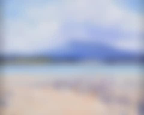 "DOWNINGS SEAFRONT" (preview)
