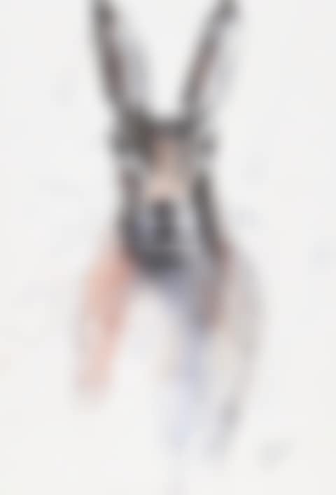 "HARE" (preview)