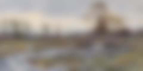 "DUCKS BY THE BRIDGE" (preview)