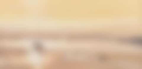 "GOLDEN STRANDFORD LOUGH" (preview)