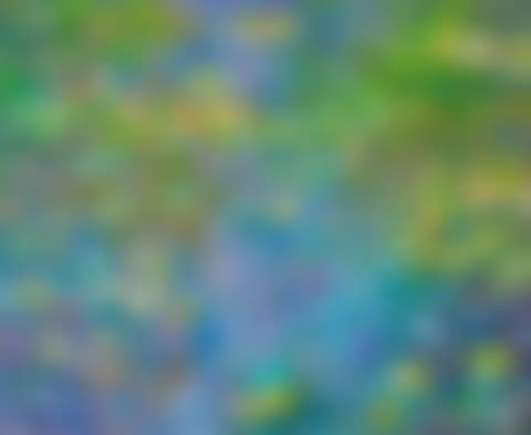 "MONET"S GARDEN WATER LILIES" (preview)