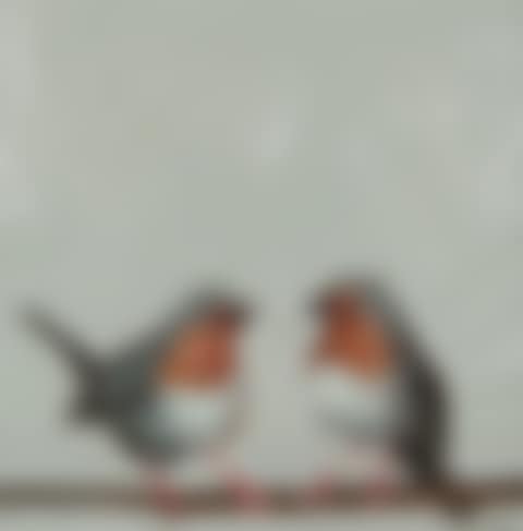 "BIRDIE TALK" (preview)