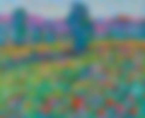 "POPPIES, SOMERSET LEVELS" (preview)