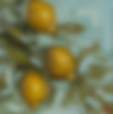 "LEMON TREE" (preview)