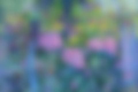 "MONET"S GARDEN" (preview)