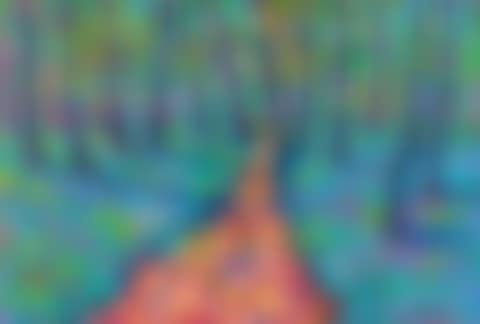 "BLUE BELL WOODS" (preview)