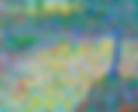 "DAPPLED LIGHT , RIVER LAGAN" (preview)