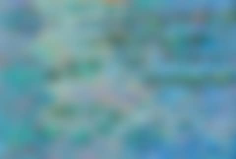 "MONET"S WATER LILIES" (preview)