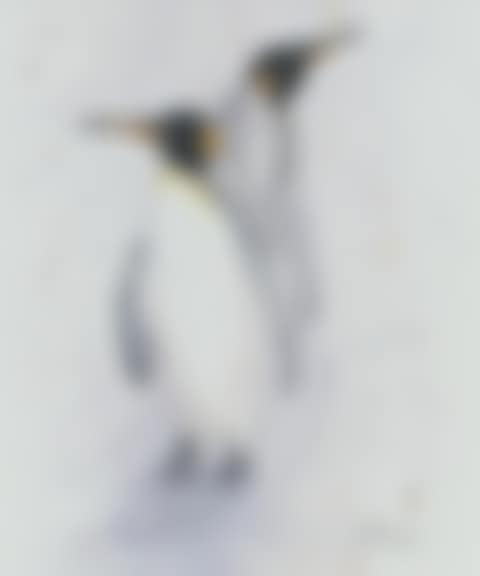 "PENGUIN"S" (preview)