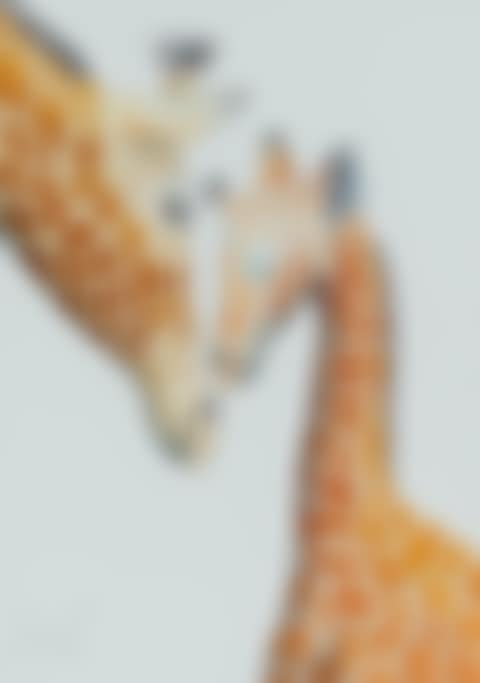 "A TENDER MOMENT" (preview)