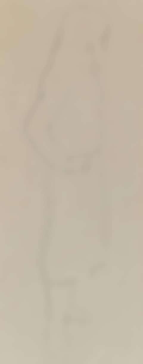 "STUDY OF A YOUNG GIRL" (preview)