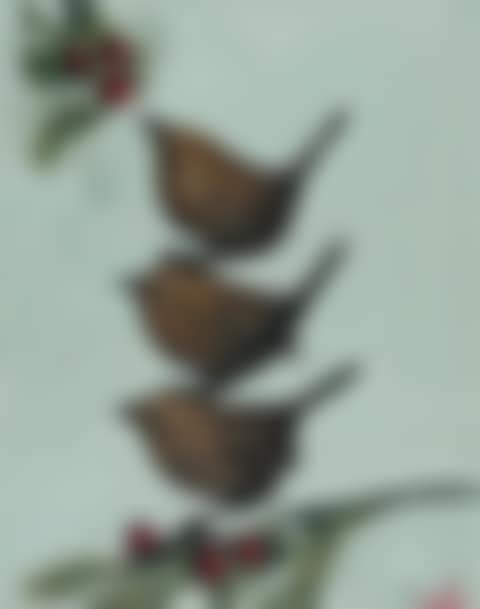 "STEADY NOW!" (preview)