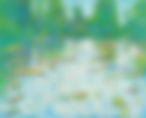 "MONETS GARDEN" (preview)