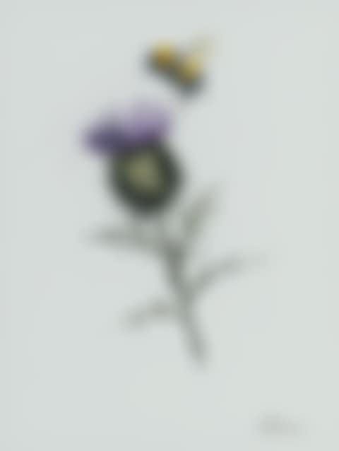 "THISTLE AND BEE" (preview)